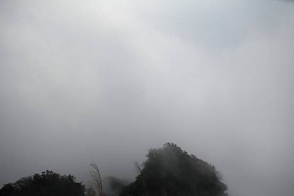 IMG_2475
