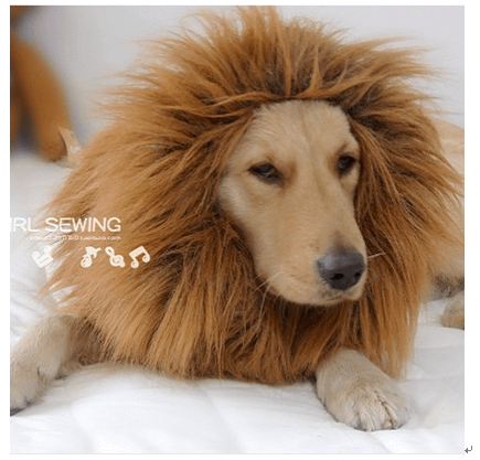 狗造型-獅子