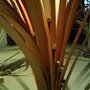 03.14貝馬丁Martyn Barratt-美麗寶島台灣之花(特寫).JPG