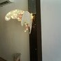03.3蘇孟鴻-無題6.JPG