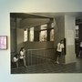 03.22陳敬寶-老松計畫4.JPG