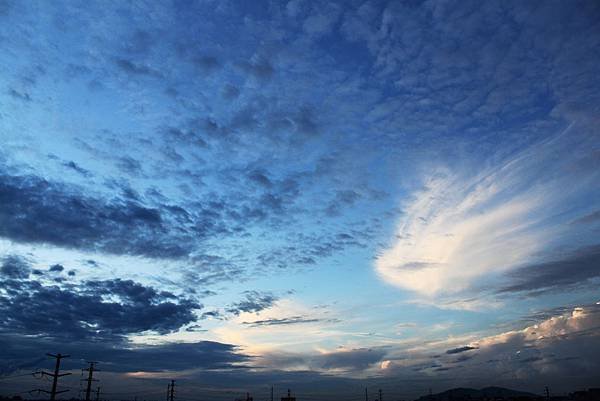 IMG_4231.JPG
