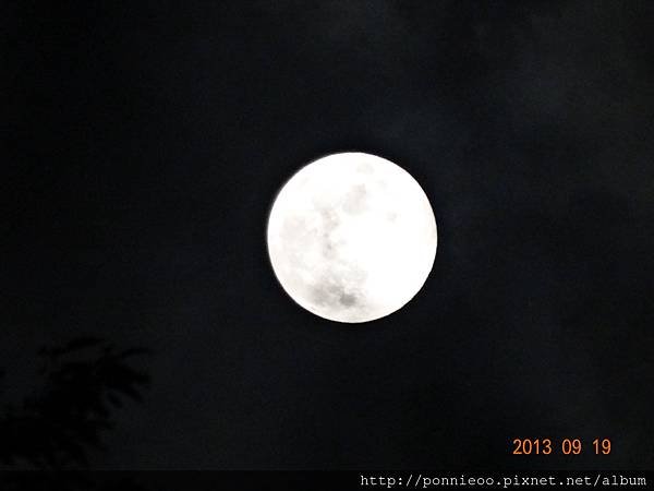 DSC03571.JPG