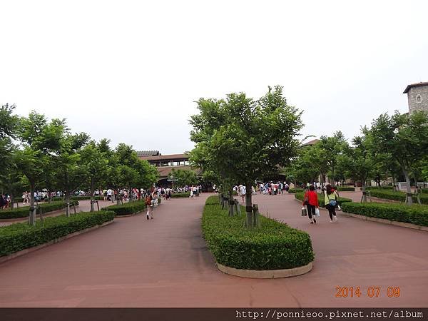 DSC08750.JPG