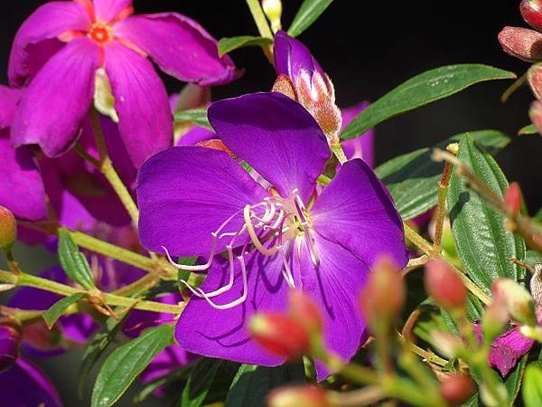 IMG_4291.jpg