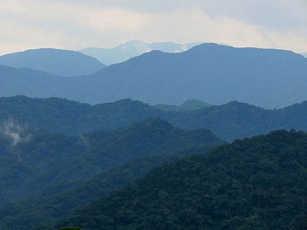 IMG_0835.jpg