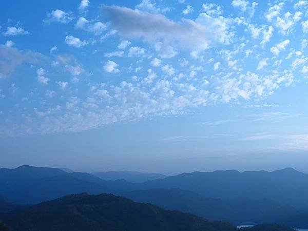 IMG_5559.jpg