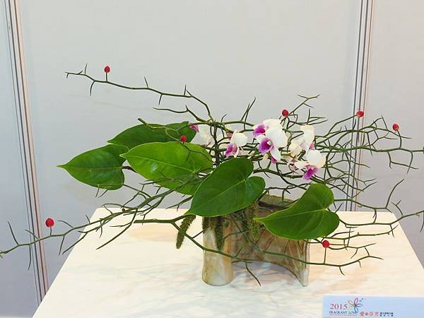 IMG_8896.jpg