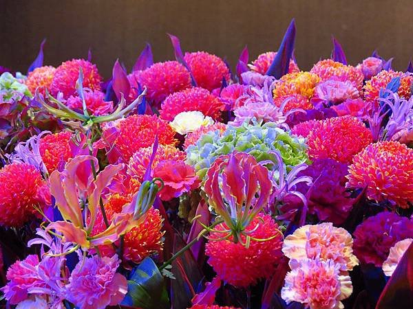 IMG_7795.jpg