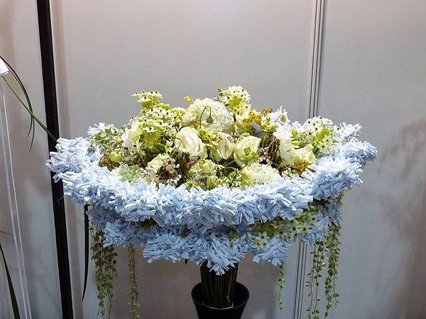 IMG_9009.jpg
