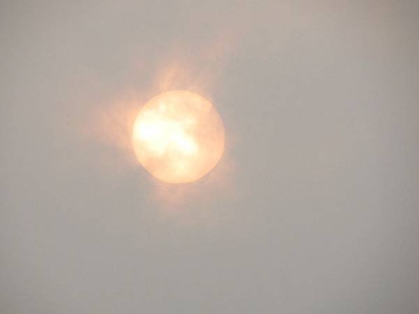 IMG_9565.jpg