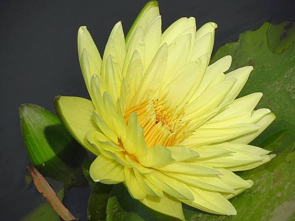 IMG_6388.jpg