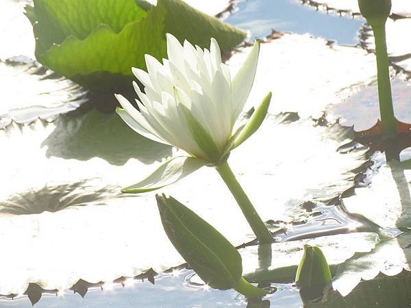 IMG_6397.jpg