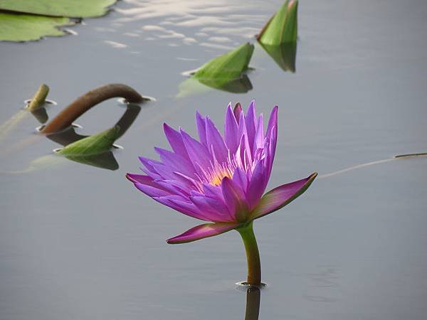 IMG_6415.jpg