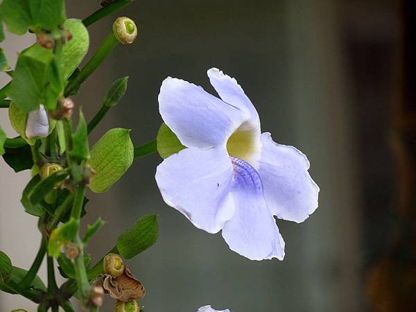 IMG_8912.jpg