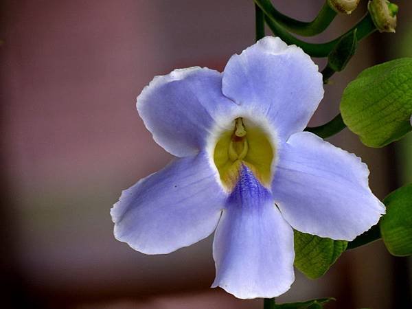 IMG_8914.jpg