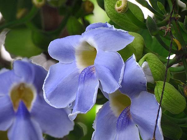 IMG_8919.jpg