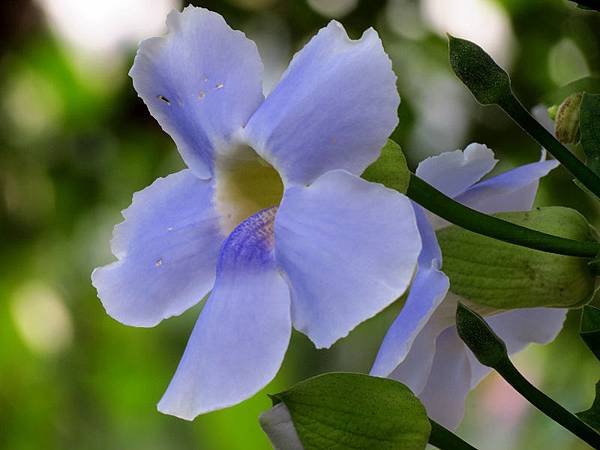 IMG_8921.jpg