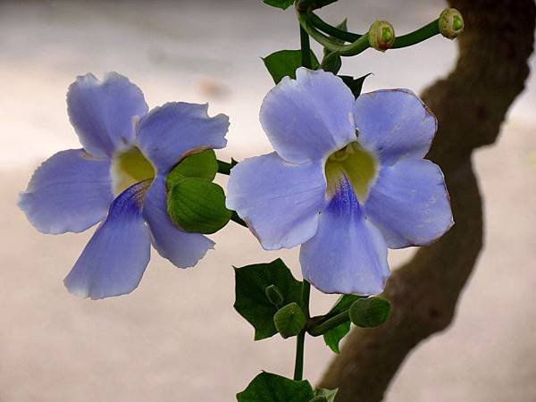IMG_8936.jpg