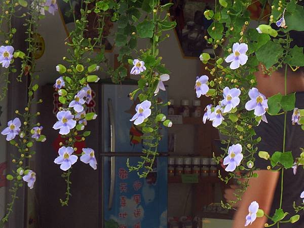 IMG_8942.jpg