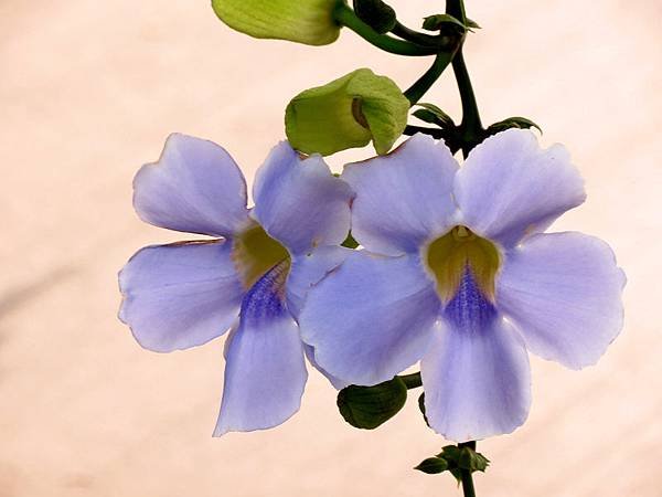 IMG_8949.jpg