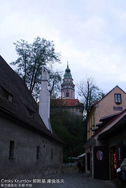 IMG_9129.jpg