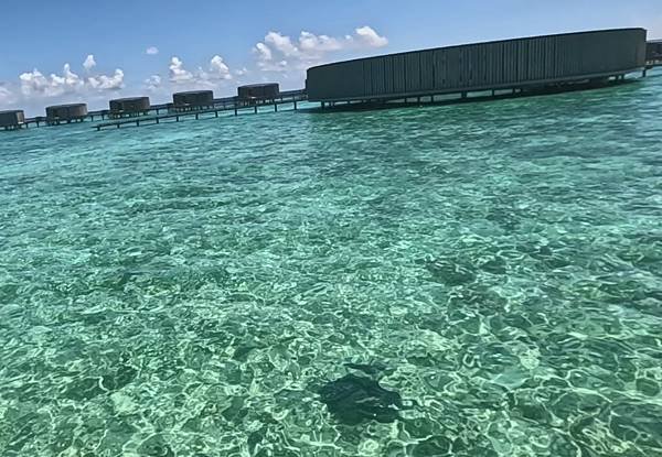 Ritz Calton Maldives 魟.jpg