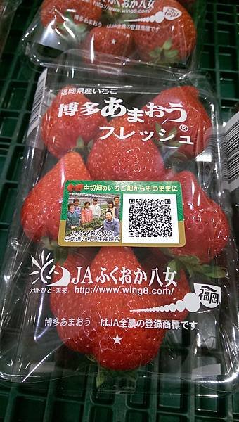 IMAG1260