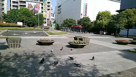 IMAG1756