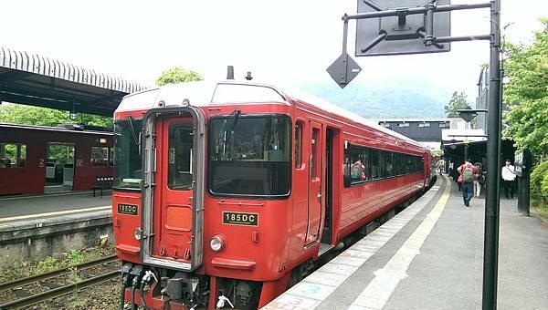 IMAG3165