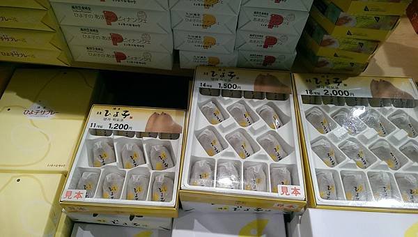 IMAG5005