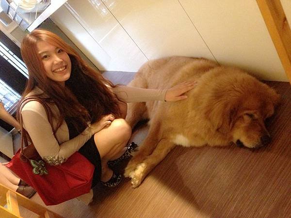 1408802519542_meitu_2