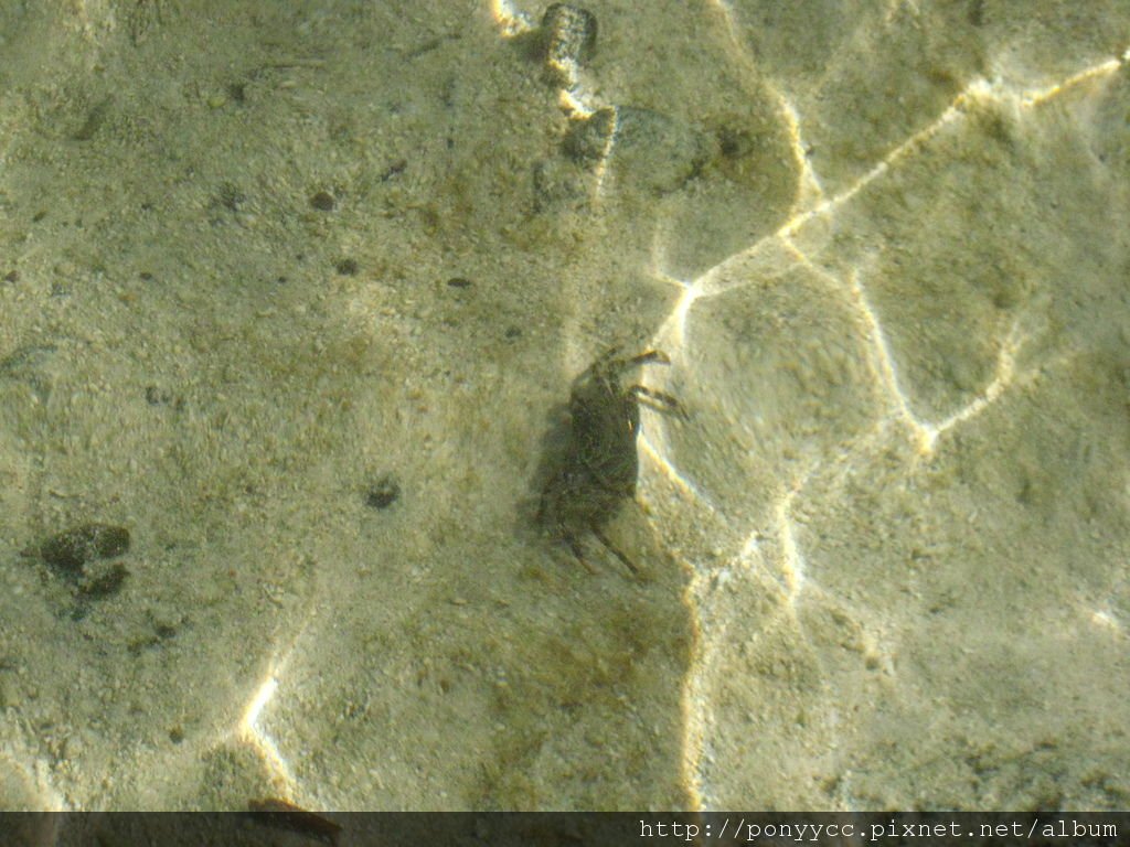 20110723-27石垣島 club med 265.jpg