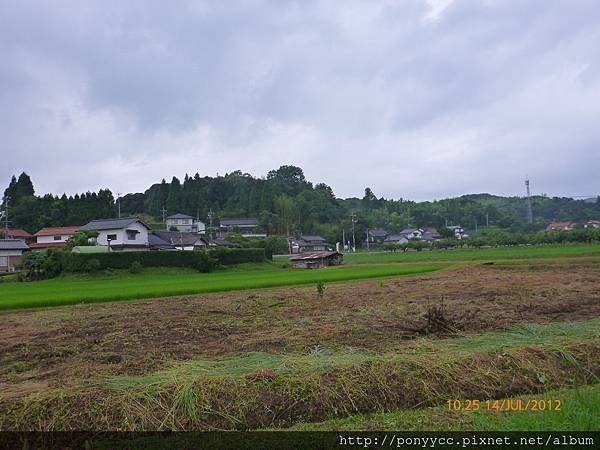 P1010879