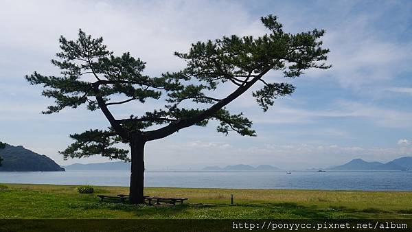 P1370937.JPG