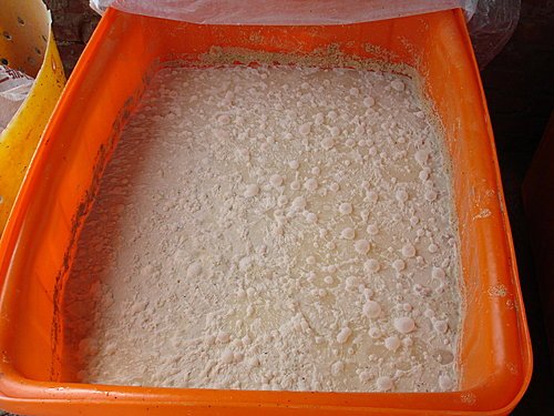 百年再出發~~蓄水(養水)10
