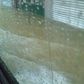 IMAG0242