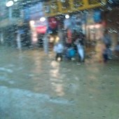 IMAG0249