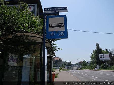 IMG_0896