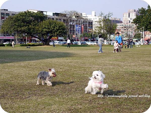 P1140312.jpg