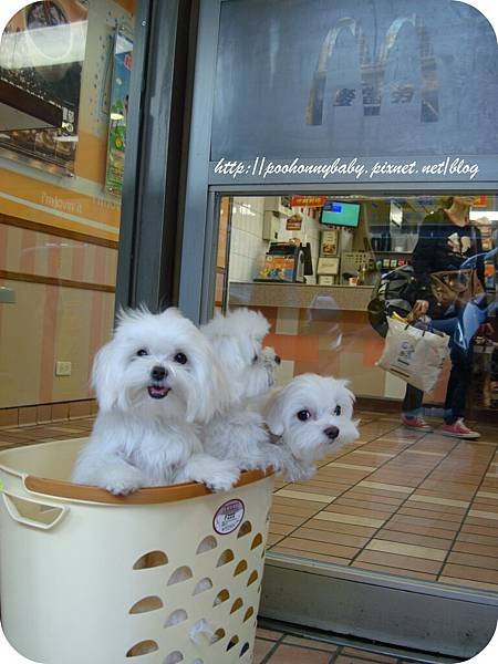 DSC00592.jpg