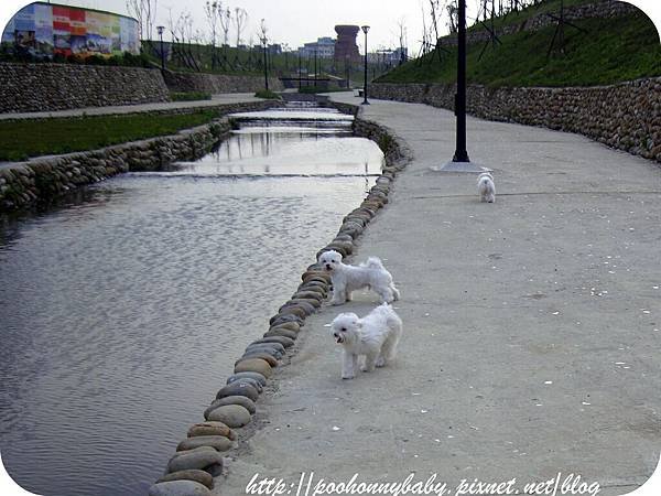 DSC00475.jpg