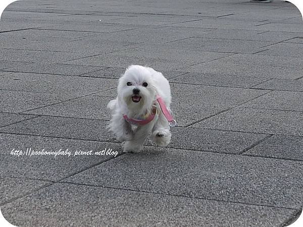 P1140331.jpg