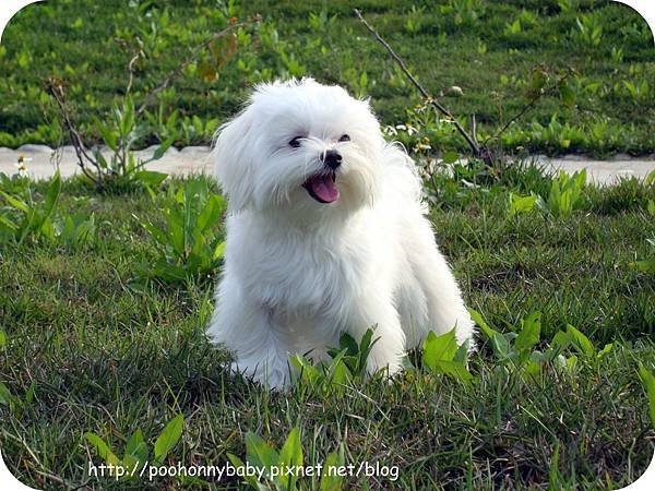 DSC00378.jpg