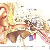 结构图副本-09342964857