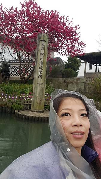 20170329_114519.jpg