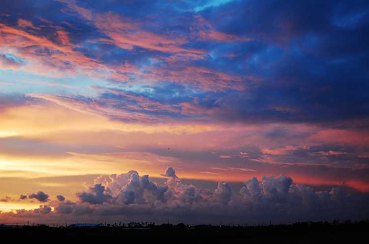 DSC_0222.jpg