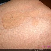 IMG_6017.JPG