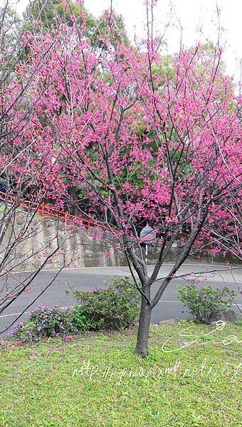 IMG_20150130_142620.jpg