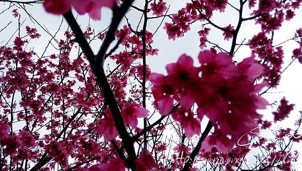 IMG_20150130_143507.jpg